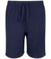 LV296 Finden + Hales Team No Pocket Shorts Navy colour image